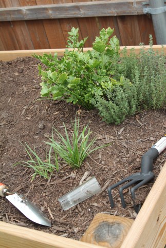 Doesn't everyone water their garden with a shotglass?